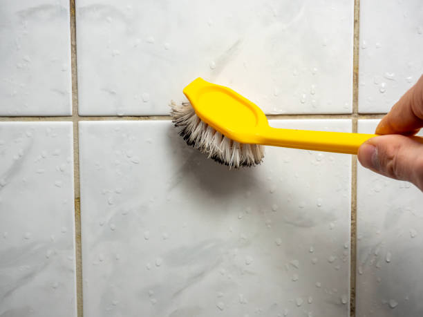 Best Certified Mold Removal  in Hlcrest, IL