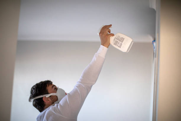 Best Home Mold Removal  in Hlcrest, IL
