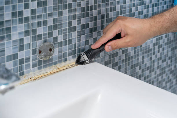 Best Attic Mold Removal  in Hlcrest, IL